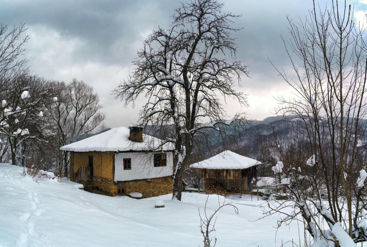 Karashka House Βίλα Apriltsi  Εξωτερικό φωτογραφία