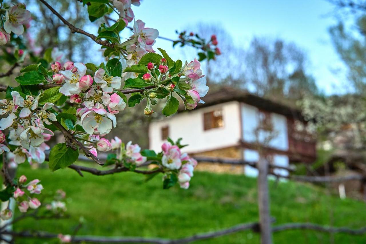 Karashka House Βίλα Apriltsi  Εξωτερικό φωτογραφία