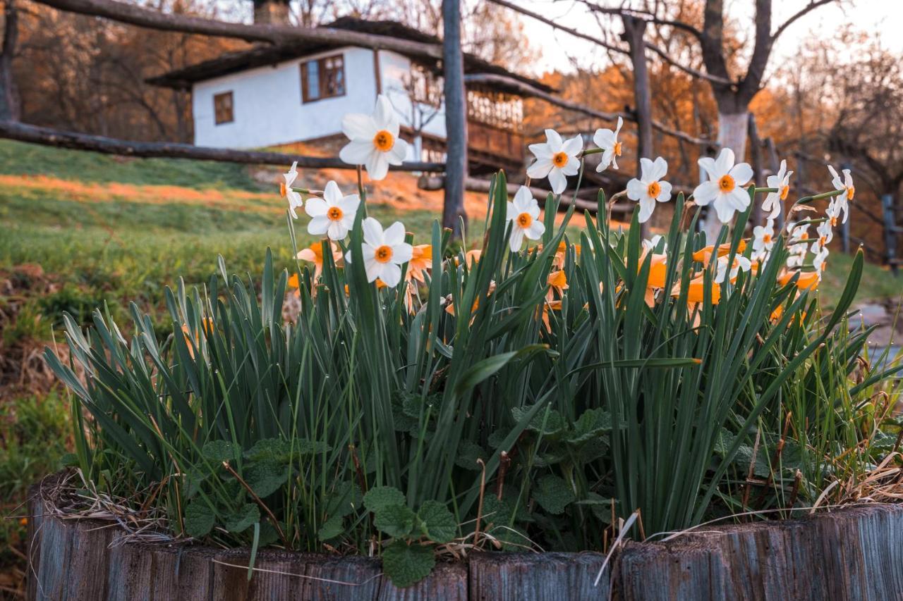 Karashka House Βίλα Apriltsi  Εξωτερικό φωτογραφία